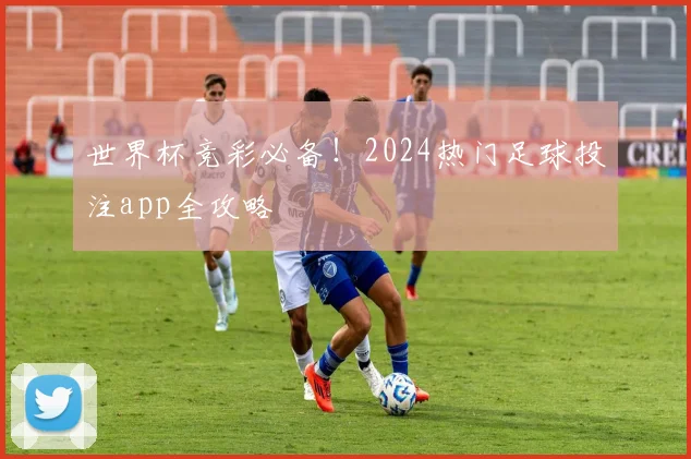 世界杯竞彩必备!2024热门足球投注app全攻略