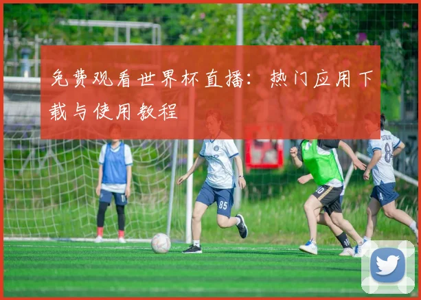 免费观看世界杯直播：热门应用下载与使用教程
