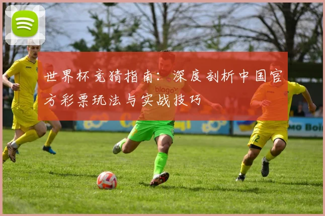 世界杯竞猜指南:深度剖析中国官方彩票玩法与实战技巧