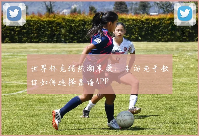 世界杯竞猜热潮来袭,专访老手教你如何选择靠谱APP