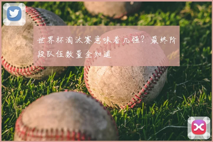 世界杯淘汰赛意味着几强?最终阶段队伍数量全知道