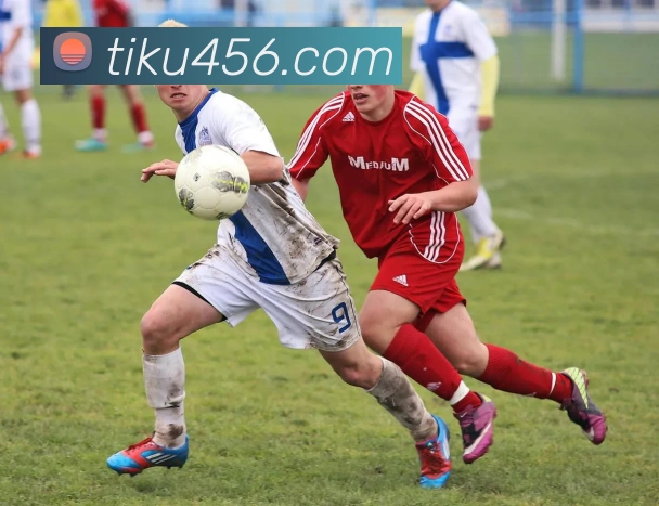 滚球买球的app官网APP 封面图